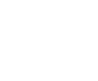Logo SNX